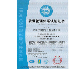 ISO 9001质量管理体系认证证书